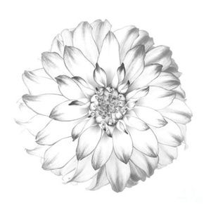 Meet your Posher, Alana